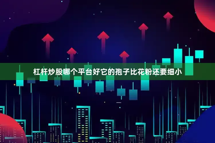 杠杆炒股哪个平台好它的孢子比花粉还要细小