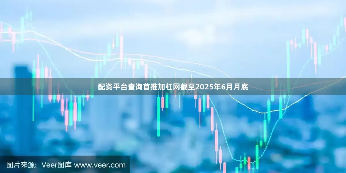 配资平台查询首推加杠网截至2025年6月月底