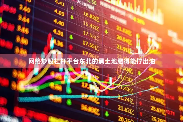 网络炒股杠杆平台东北的黑土地肥得能拧出油